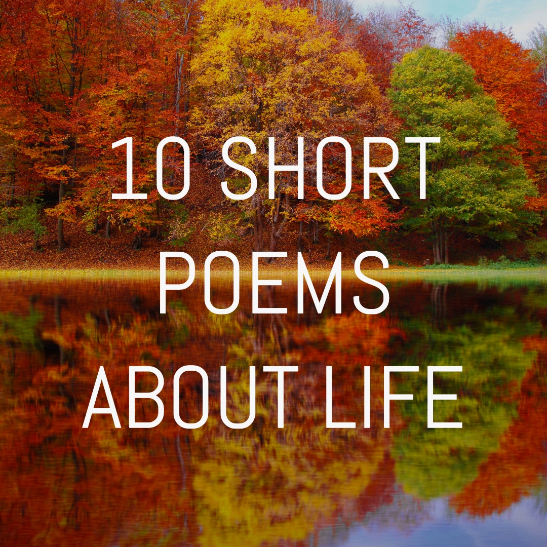 very short poems about life        <h3 class=
